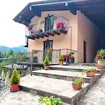 Cornei Da Nadia